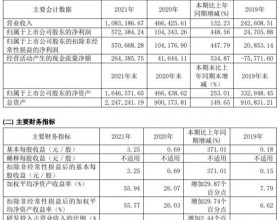 大全能源去年营收增13