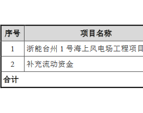 浙江新能拟定增募资30