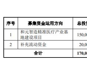 和元生物上市首日涨65