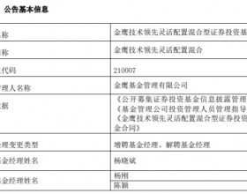 杨刚与陈颖离任金鹰技