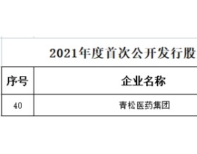 青松医药终止上交所主