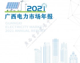 2021年广西电力市场年