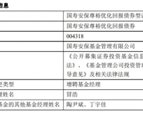 国寿安保尊裕优化回报