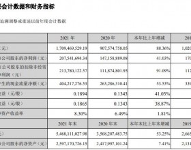 国城矿业收问询函 控