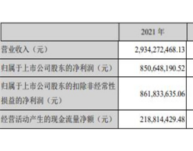 盛新锂能年报被问询 