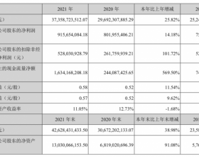 欣旺达2021年报：全年