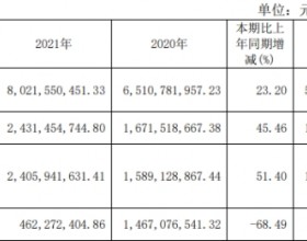 片仔癀去年净利润24.3