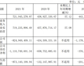 破发股寒武纪上市连亏