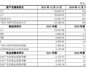 金利华电拟13.5亿买成