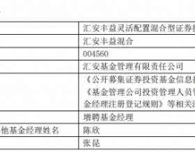 汇安丰益混合增聘基金