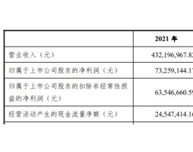 破发股光庭信息跌4.2%