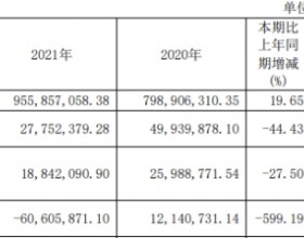 破发股瑞松科技上市净