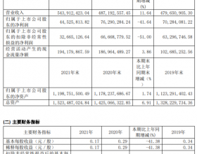 清溢光电去年净利润降