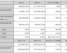 南极电商去年营收降6.