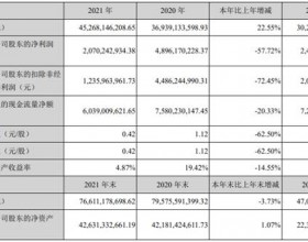 蓝思科技去年扣非净利