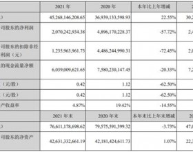 蓝思科技去年扣非净利