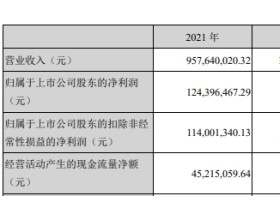奥尼电子上市首年业绩