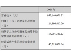 奥尼电子上市首年业绩