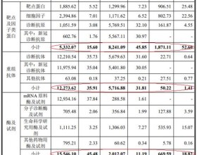 近岸蛋白4年营收6亿IP