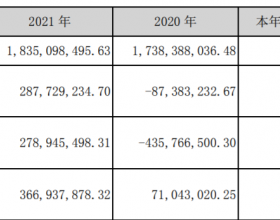 联创股份年报非标收问