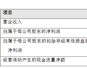 新华保险一季度净利降