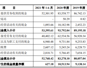 望变电气净现比低财务