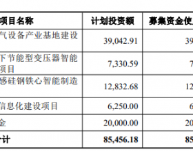 望变电气净现比低财务