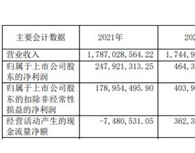 丸美股份首季扣非净利