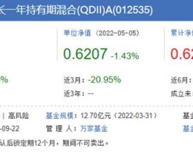 4月份QDII跌幅冠军:万