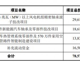 五洲新春拟定增募资不