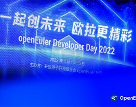 openEuler Developer 