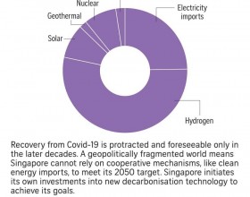 新加坡在寻求脱碳时考