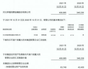 幸福消金2021年利润增