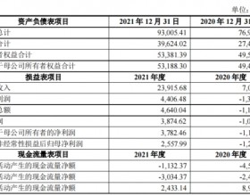 金利华电拟13.5亿收购