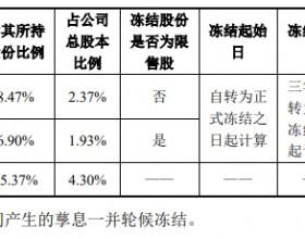 人福医药：控股股东当