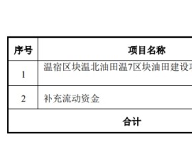 中曼石油拟定增募资不