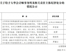 大华会计师所被公开谴