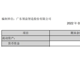 领益智造两地130亿投