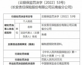 长安保险云南省分公司