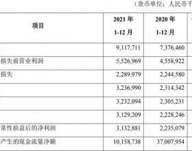 广东华兴银行2021年净