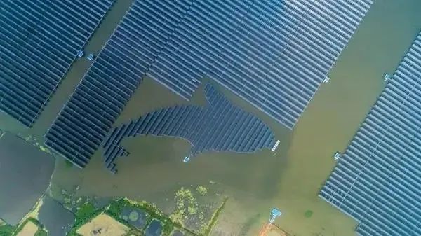 泗洪1000MW光伏领跑者项目被勒令拆除整改!