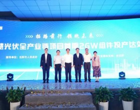 投资30亿！中清2GW To