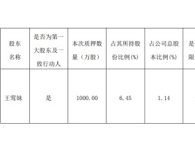 永太科技：控股股东王