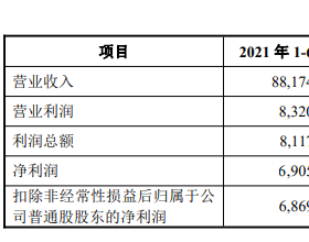 望变电气净现比低财务