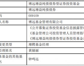 博远增益纯债债券增聘