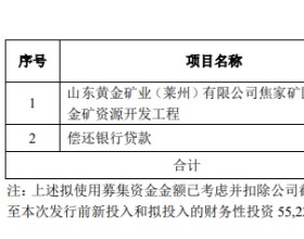 山东黄金拟定增募资不