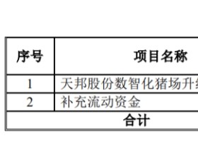 天邦股份拟定增募资不