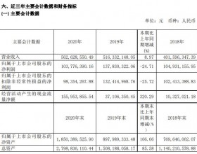 *ST紫晶"戴帽"跌20% I