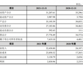 音飞储存拟买关联公司