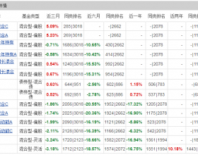 国金成长领先混合募集